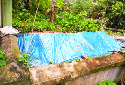 Image of  সাইদুর রহমান ইমরান